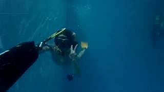 08132016 Watermanship practice with  holding a tank linked only regulator I -Debbie