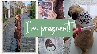 Surprise....im Pregnant Whats Next?
