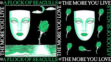 Thumbnail of A flock of seagulls  The more you live extended