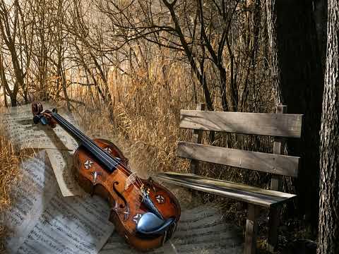 Edward Elgar: Salut d'Amour, op.12.