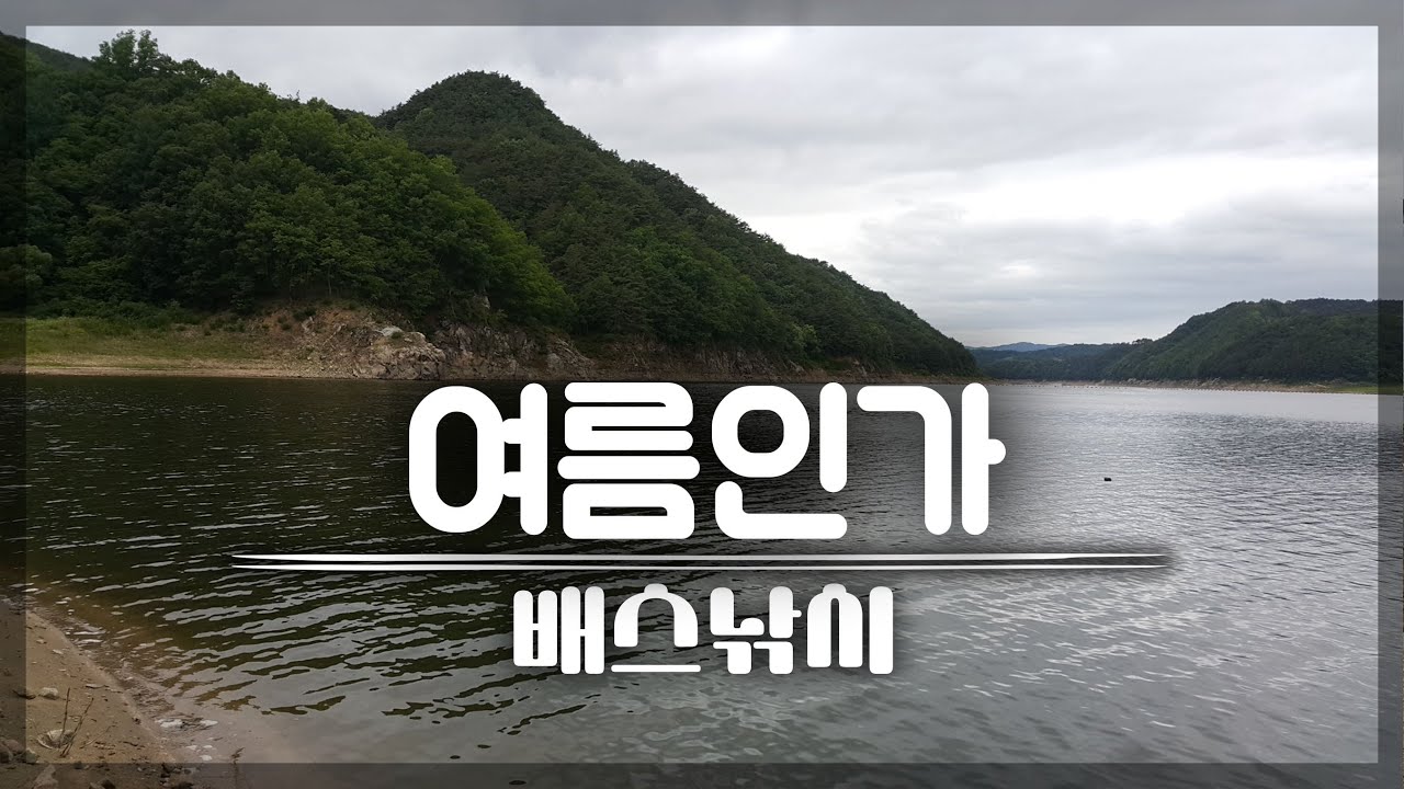 여름 안동호 배스 낚시🌼Bass Fishing Pesca バス釣り 런커