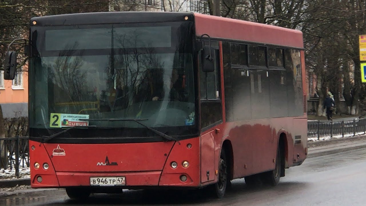 Маз 206 архангельск
