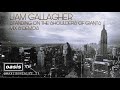 Liam gallaghers version  standing on the shoulder of giants mix  demos fanmade