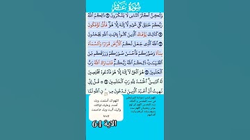 سورة غافر فارس عباد الاية 64