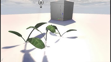 Vertex animation Test