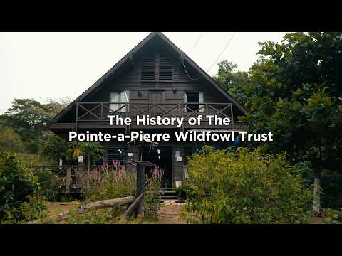 The History of The Pointe-à-Pierre Wildfowl Trust | Documentary Film
