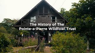 The History of The Pointe-à-Pierre Wildfowl Trust | Documentary Film