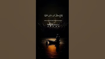قرآن كريم راحة نفسية وسكينة #المصحف #يارب #اكسبلور #راحة_نفسية