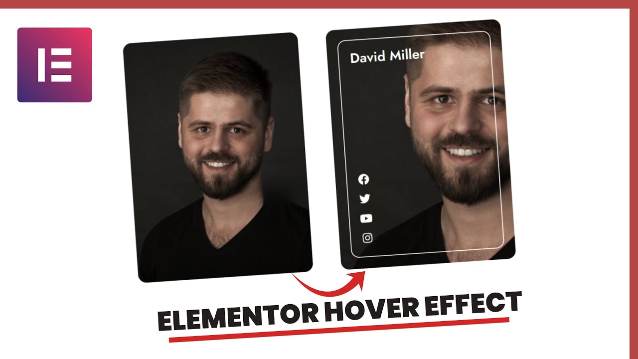 Amazing Elementor ZOOM IN Profile Card Effect | WordPress Elementor Pro Tutorial | Elementor Tricks