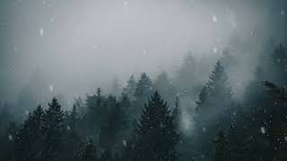 Snowfall in Forest [4K Live Wallpaper]