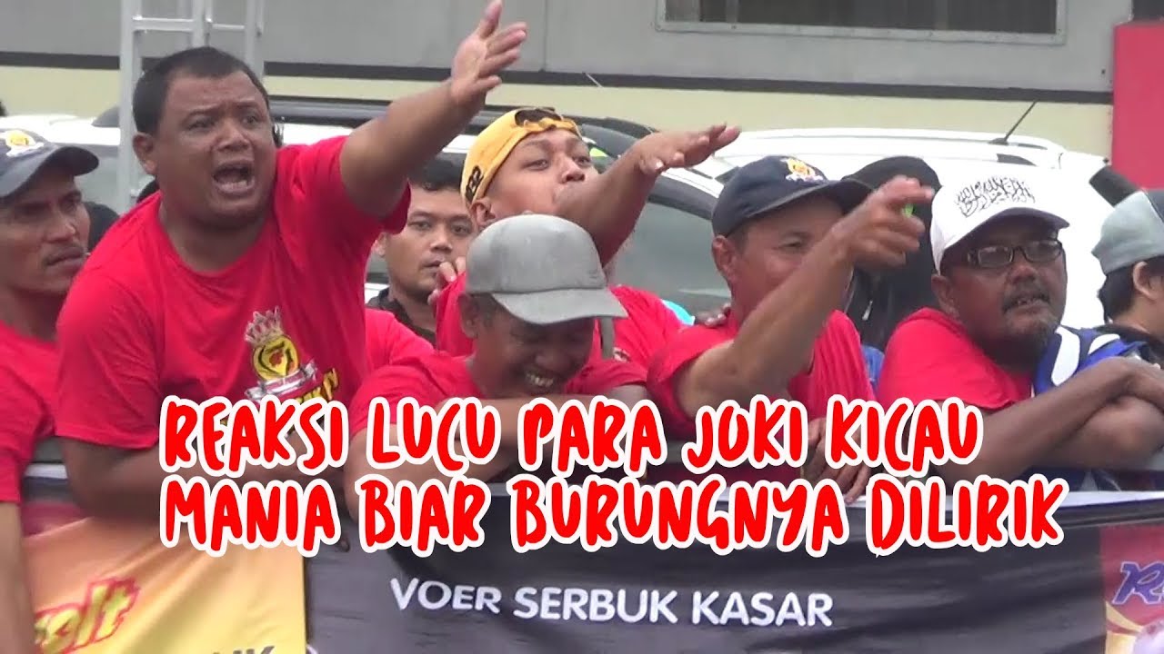 Piala Presiden Aksi Lucu Joki Kicau Mania Protes Ke Panitia