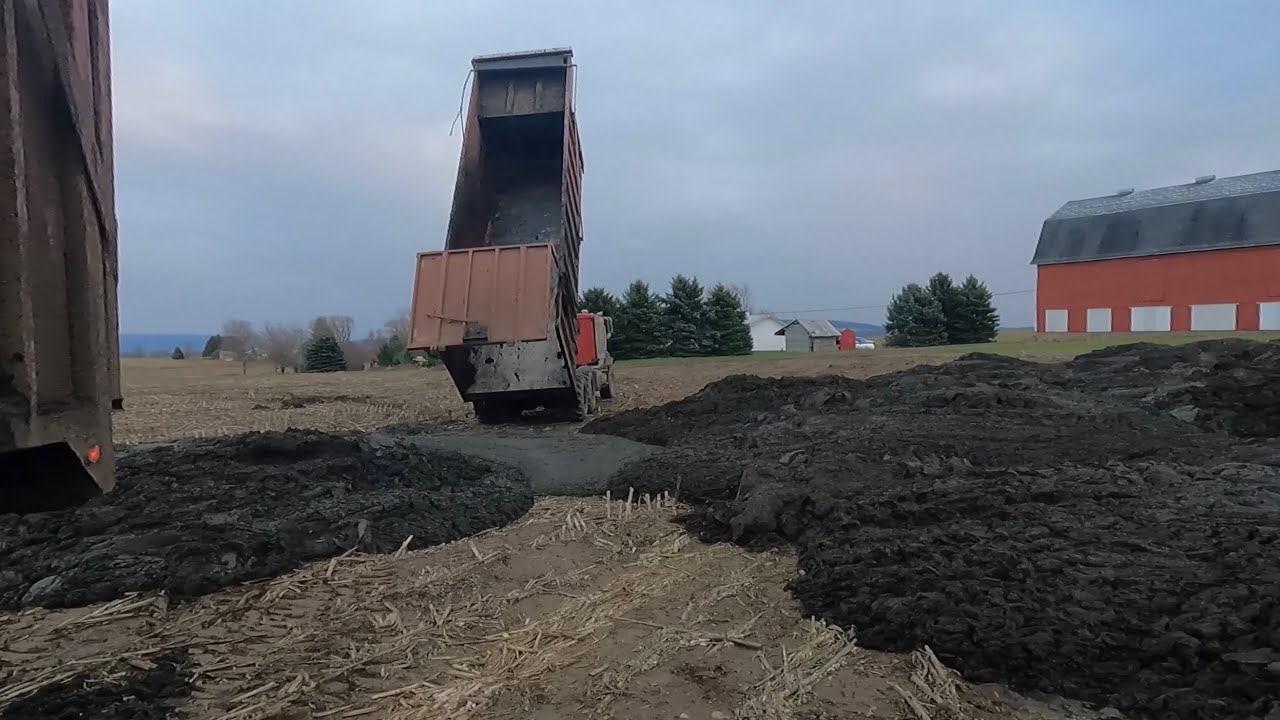 Последние из зачистки лагуны | Ответы на вопросы.