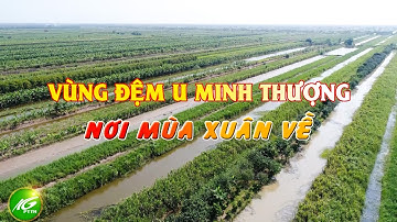 Vùng đệm U Minh Thượng - Nơi mùa xuân về | THKG