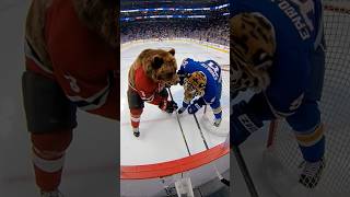Wild Animals Hockey Match – Bear vs Tiger Funny Challenge #action #gameplay #sports #hockey