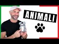 Italian Vocabulary: 20 Words on ANIMALS || Video in Italiano: GLI ANIMALI