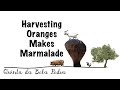Bela Pedra, my Portuguese Farm: Part 14 (Oranges = Marmalade)