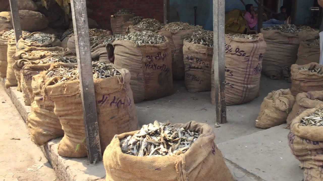 Jagiroad, Assam, India IMG 9783 YouTube