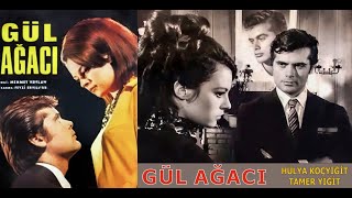 Gül Ağacı 1967 - Hülya Koçyiğit - Tamer Yiğit - Türk Filmi