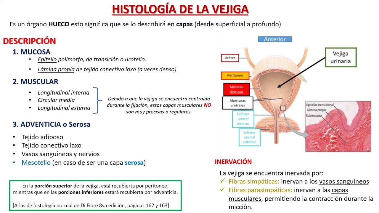 Experiencia de operados de cáncer de vejiga