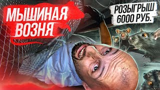 Достиг ДНА строительства | АНТИМЫШКА — это АД | Купил самые модные ЭКООКНА в СНТ