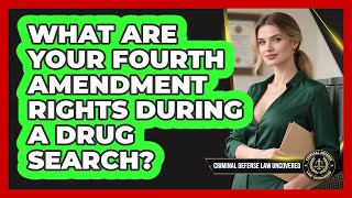 What Are Your Fourth Amendment Rights During A Drug Search? - Criminal Defense Law Uncovered