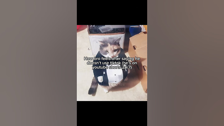 Youtube Shorts vs Tiktok moment