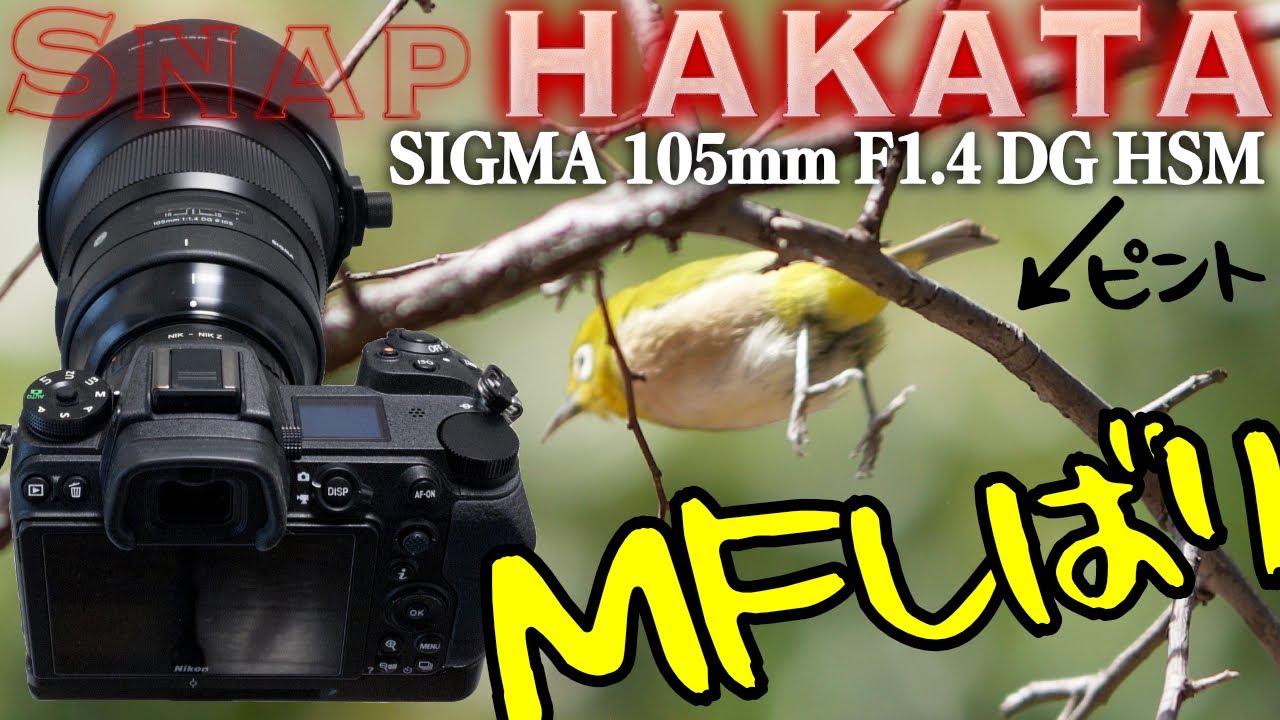 金欠!]FTZ無しでSIGMA 105mm F1.4 DG HSMを使ったらMF縛り・開放縛りで
