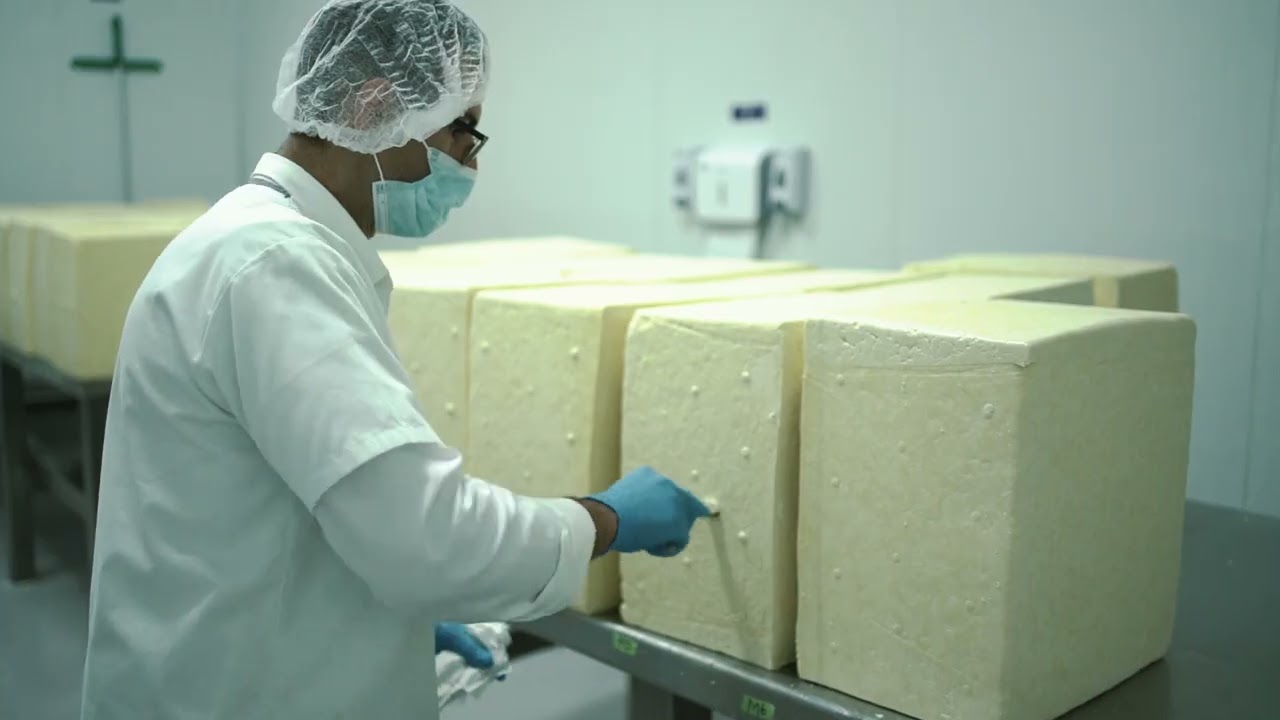 DELACASA | Excelencia en Procesos y Calidad en la Producción de Queso Artesanal para Exportación