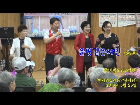 홍민배 - 운명같은여인