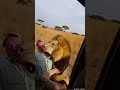 The "Lion Loyalty" Example (Channel Milestone)