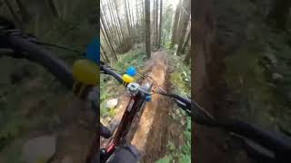 chossy #quack #mtb #mtblife #mtbstunts #mountainbike #fyp