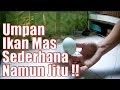 Resep SIMPLE Umpan Ikan Mas Namun JITU