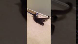 IMG 1372