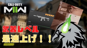 【必見】やることは簡単！これだけで武器レベルがすぐ上がる！【COD:MW2】