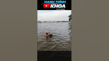 đổ dớn hàng trăm kí cá #hanhtrinhkhoa #fishing #angiang #mientay