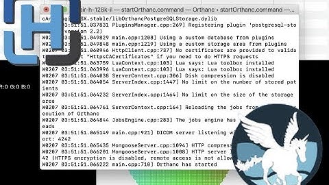 HorliX can link with Orthanc