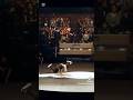bboy Lil g Red bull bc one