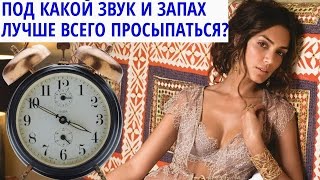 Забавный опрос- Под какие звуки и запахи хотите просыпаться?