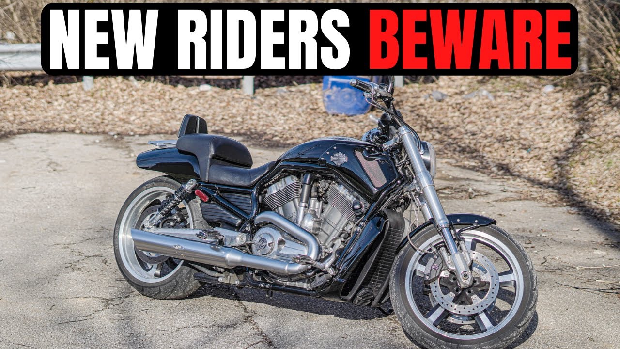 BUYING A VROD MUSCLE AS A FIRST BIKE │ Is this Harley Davidson a good beginner bike? YouTube