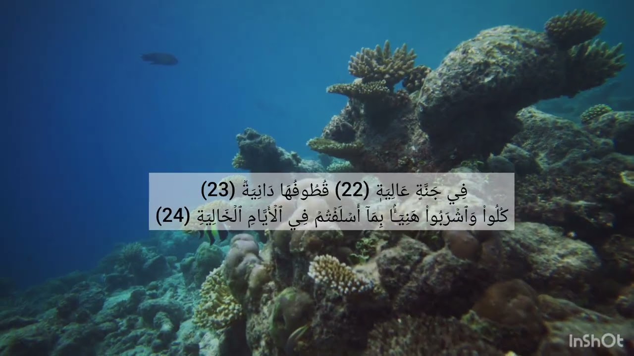 سورة الحاقة من ايه 19 إلى ايه  24 مكرر 5 مرات الشيخ ماهر المعيقلي 