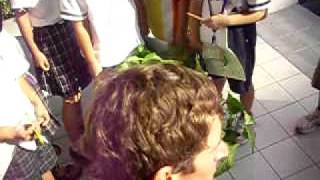20101007 science class-shade