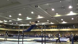 Paul Ruggeri - Parallel Bars - 2015 Winter Cup Finals