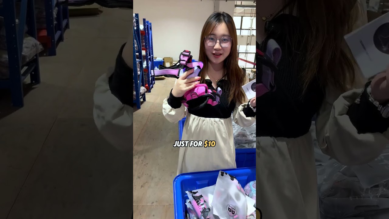 Pet leash & collar factory from China · OEM/ODM · Custom logo & packaging 