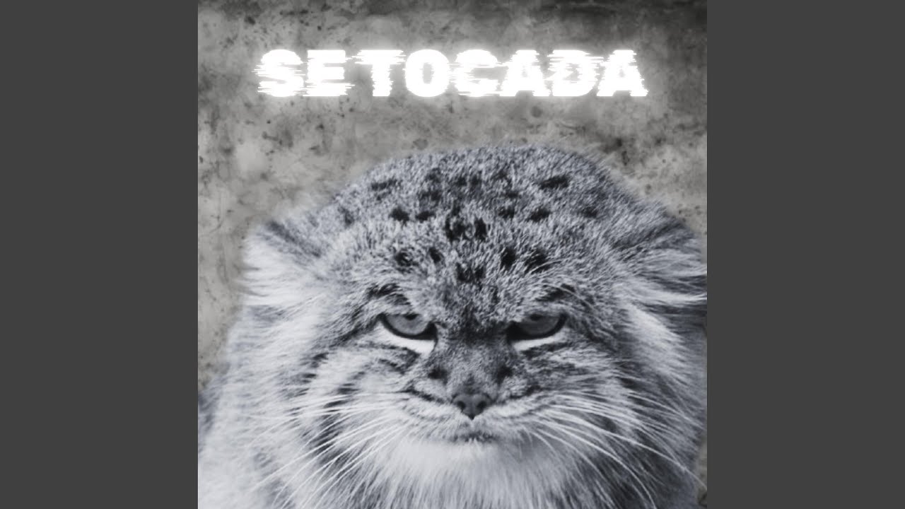 Obejrzyj SE TOCADA (EDIT VERSION) w YouTube Obejrzyj SE TOCADA (EDIT VERSION) w YouTube