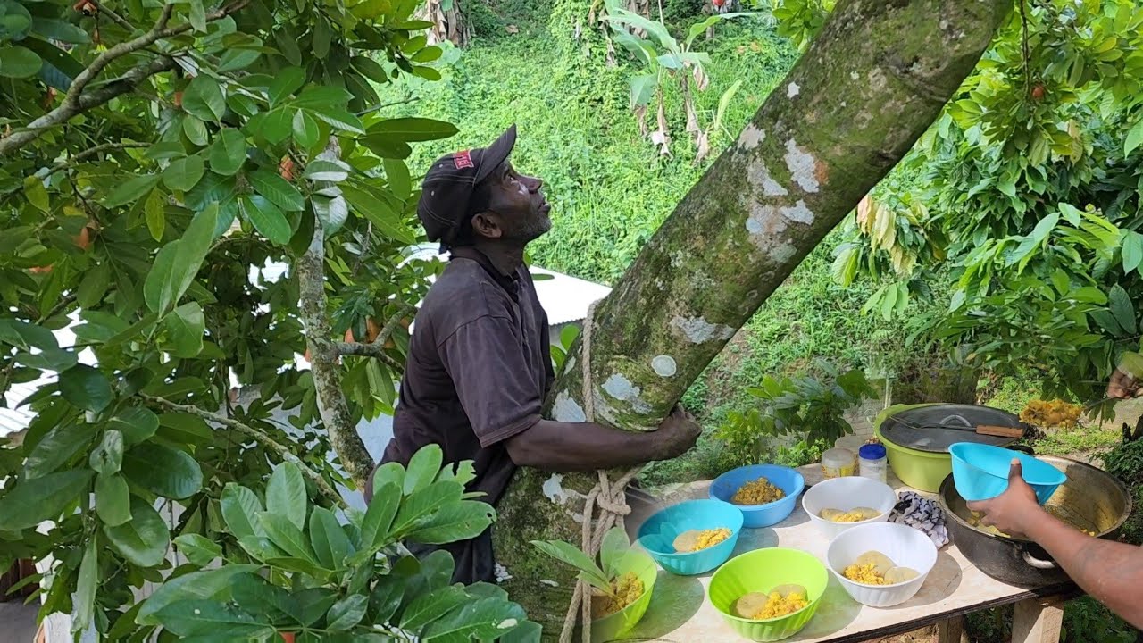 At his age he made climbing looked easy - fever grass dumpling w curry ackee