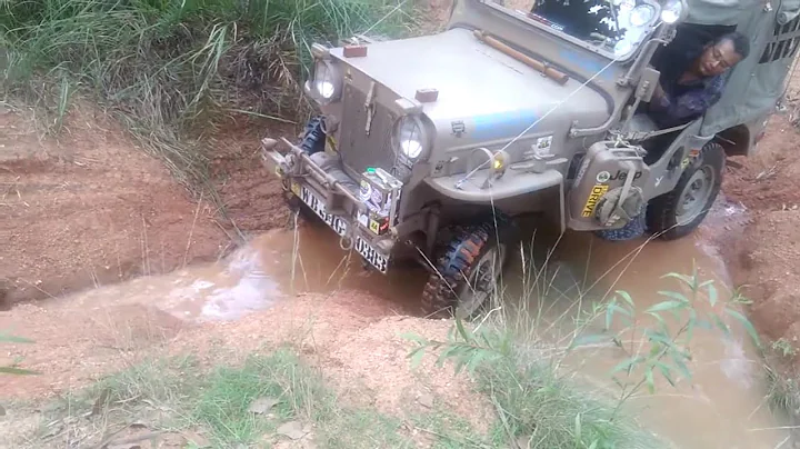 1964 Willys Cj3B stock #willyscj3b