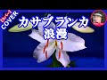 カサブランカ浪漫(ロマン) 中条きよし Cover by Sammy1212