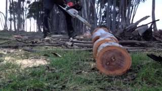 Stihl Ms241