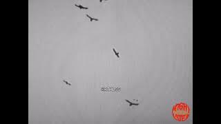 Download lagu J. Cole - Might Delete Later, Vol. 1 (Instrumental)