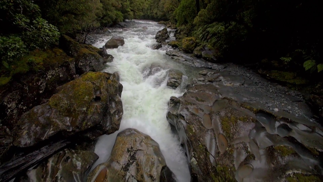 suoni della natura - relax sound - YouTube